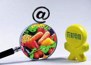 農村淘寶 日用品銷售的下一個金礦