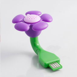 生活日用品比價與促銷指南 聚焦家用電器安裝服務